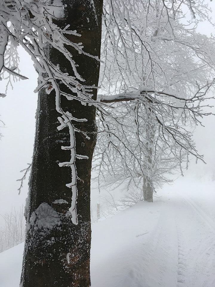 2018-01-04-34-winterweg-mh-6 Winterweg (Foto: Manuela Hahnebach)