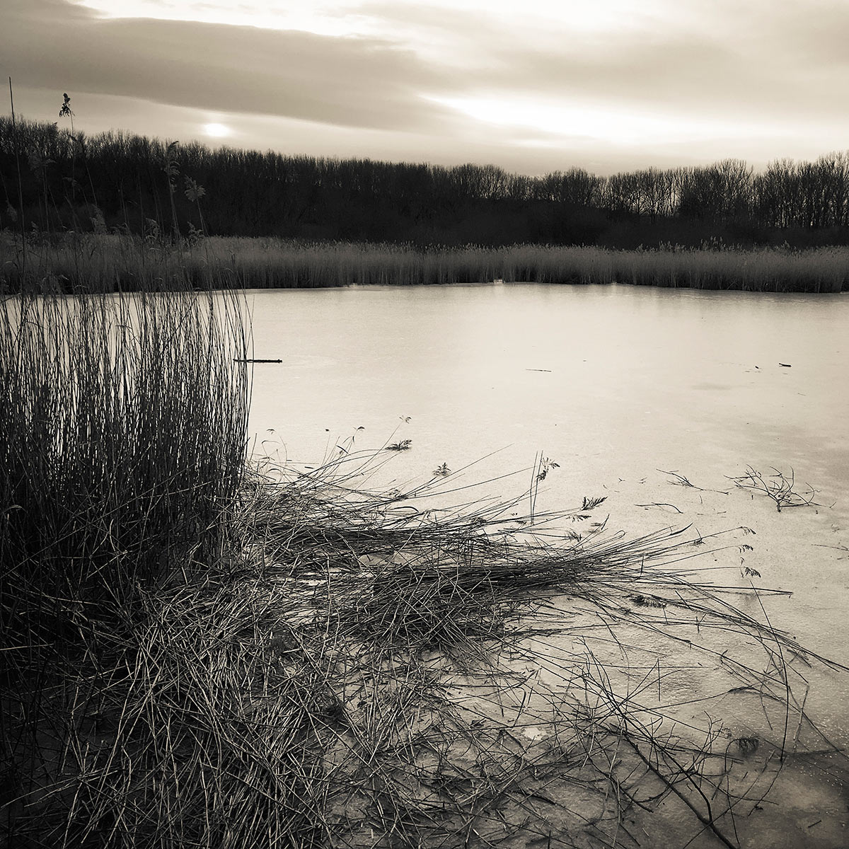 2018-03-14-gefroren-MH-5.33 Gefroren (Foto: Manuela Hahnebach)