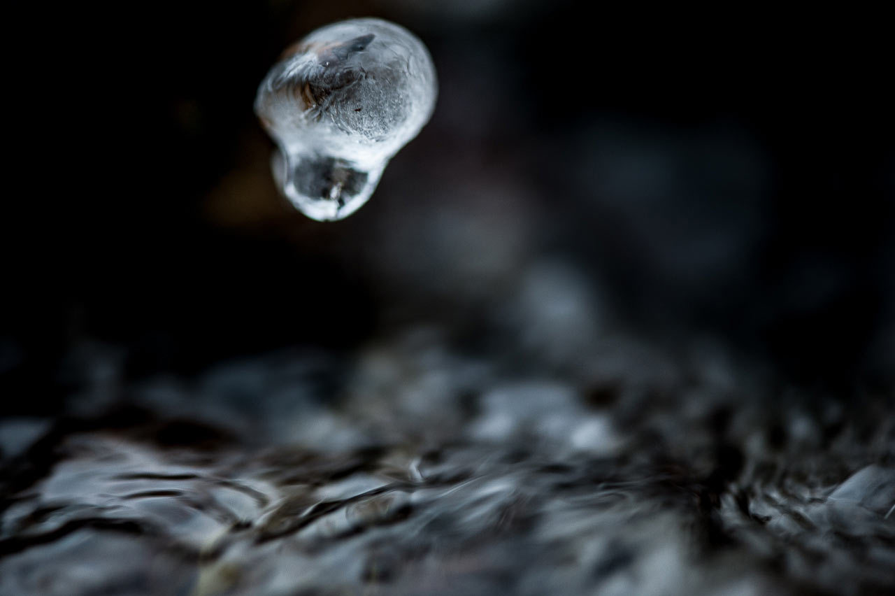 Fotoclub: Bild des Quartals 3.2025
