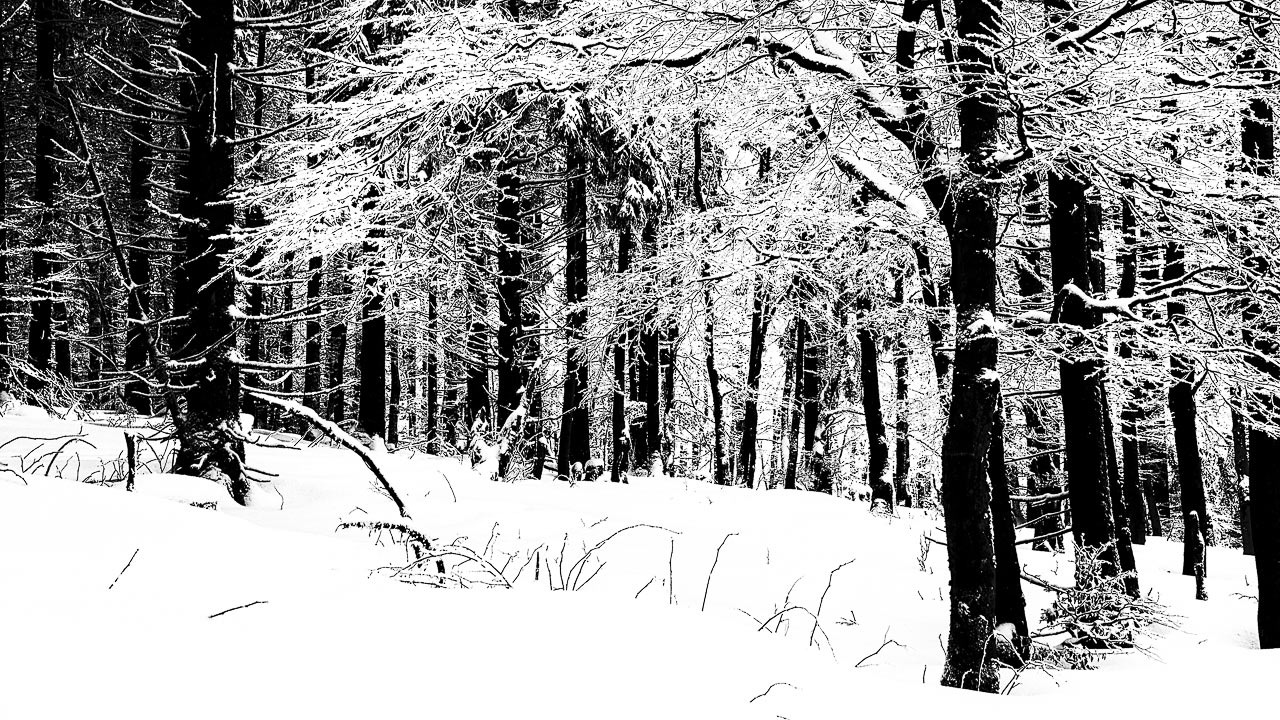 Fotoclub