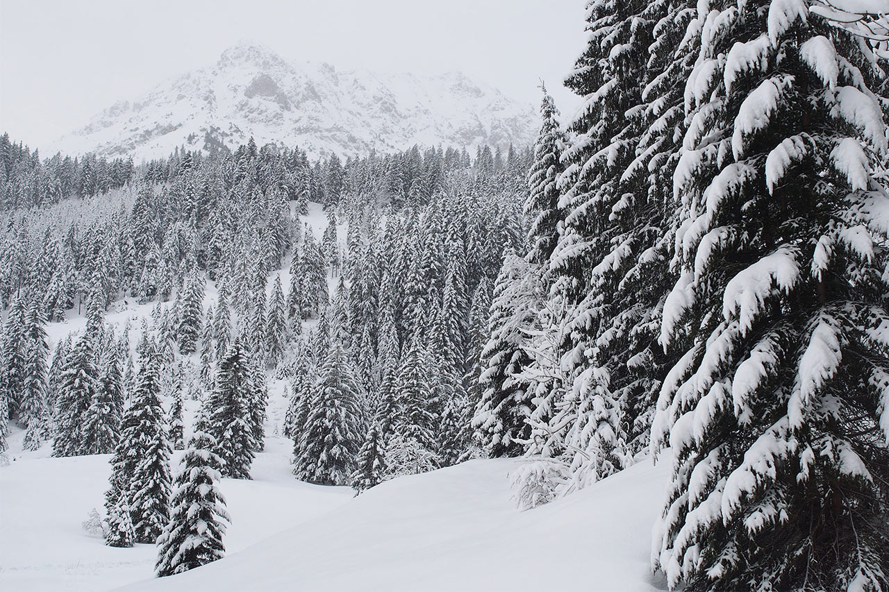 2018-03-29-Winter-Wunder-Welt-P0070032-AK-5 Winter Wunder Welt (Foto: Andreas Kuhrt)