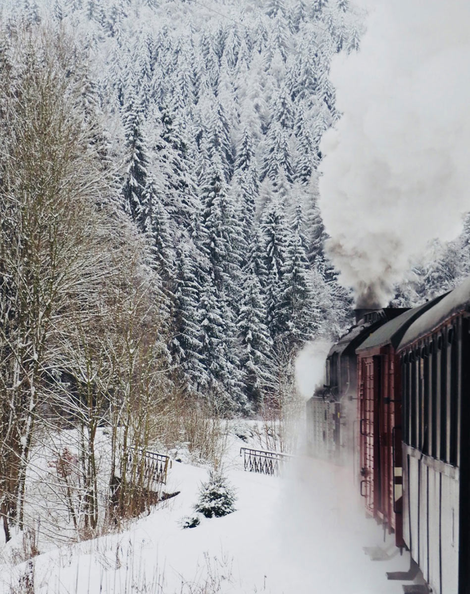 Fotoclub: Bild des Monats 12.2021