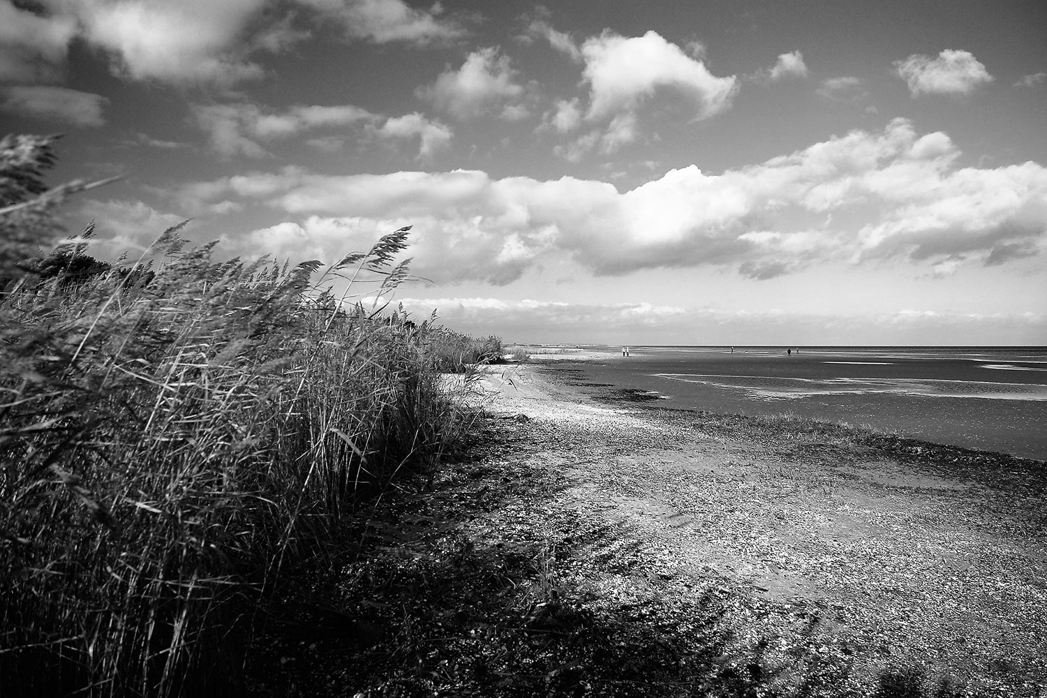 Garten-Fotoclub bei Uli