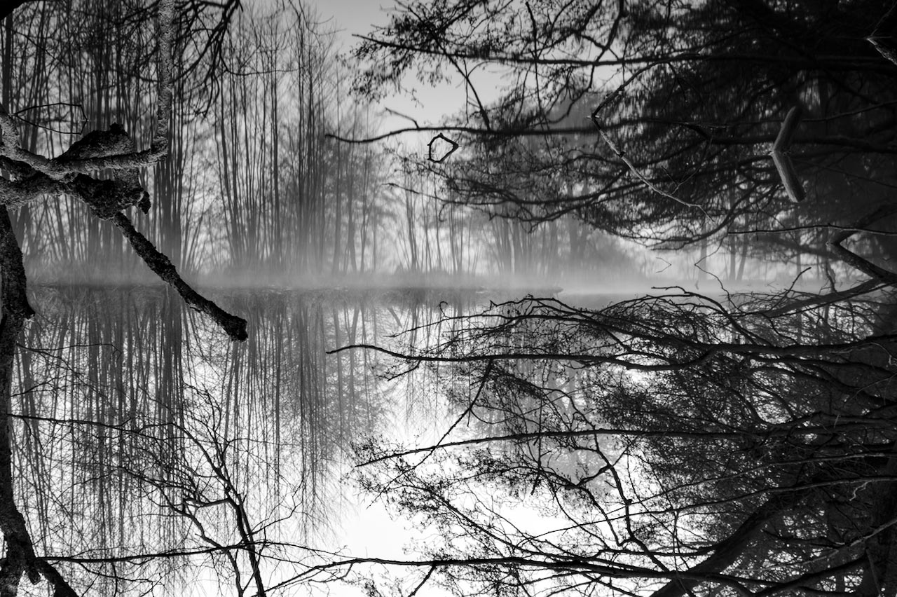 Alles steht Kopf (Foto: Lucas Hotop)