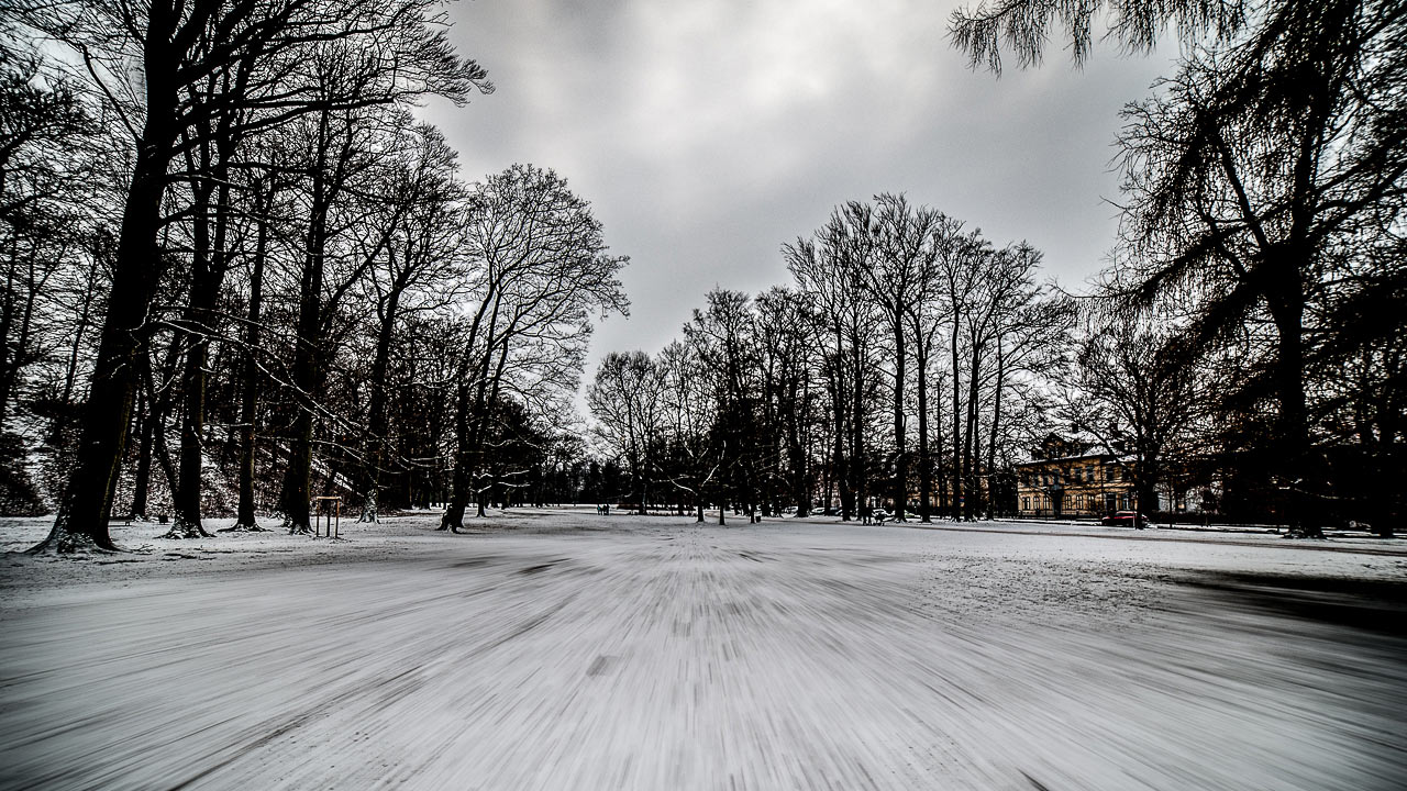 Tagtraum (Foto: Uli Pfeufer)
