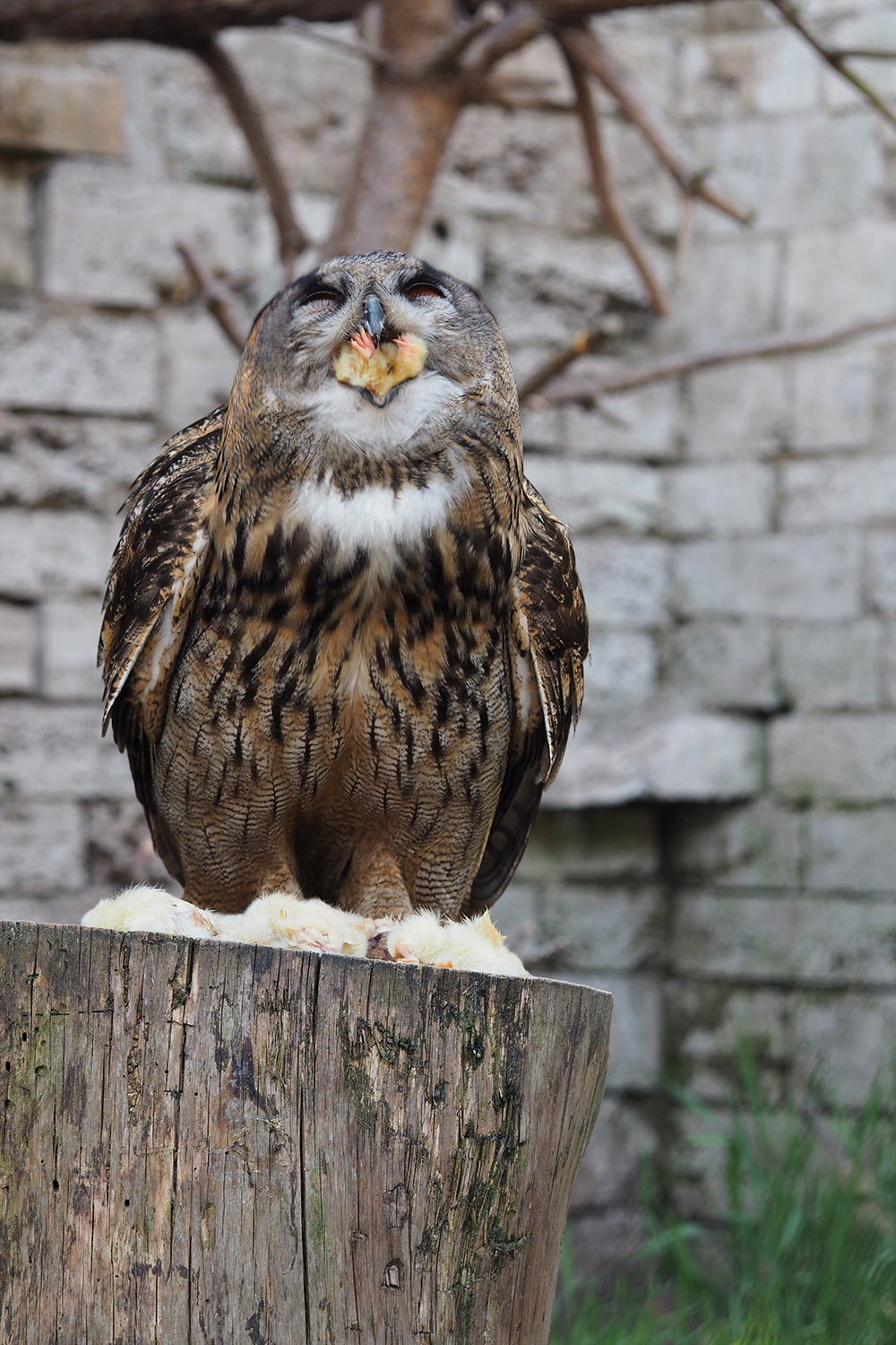 Fotoclub Themar: Fotoausstellung "Menschen Tiere Landschaften" in Hildburghausen
