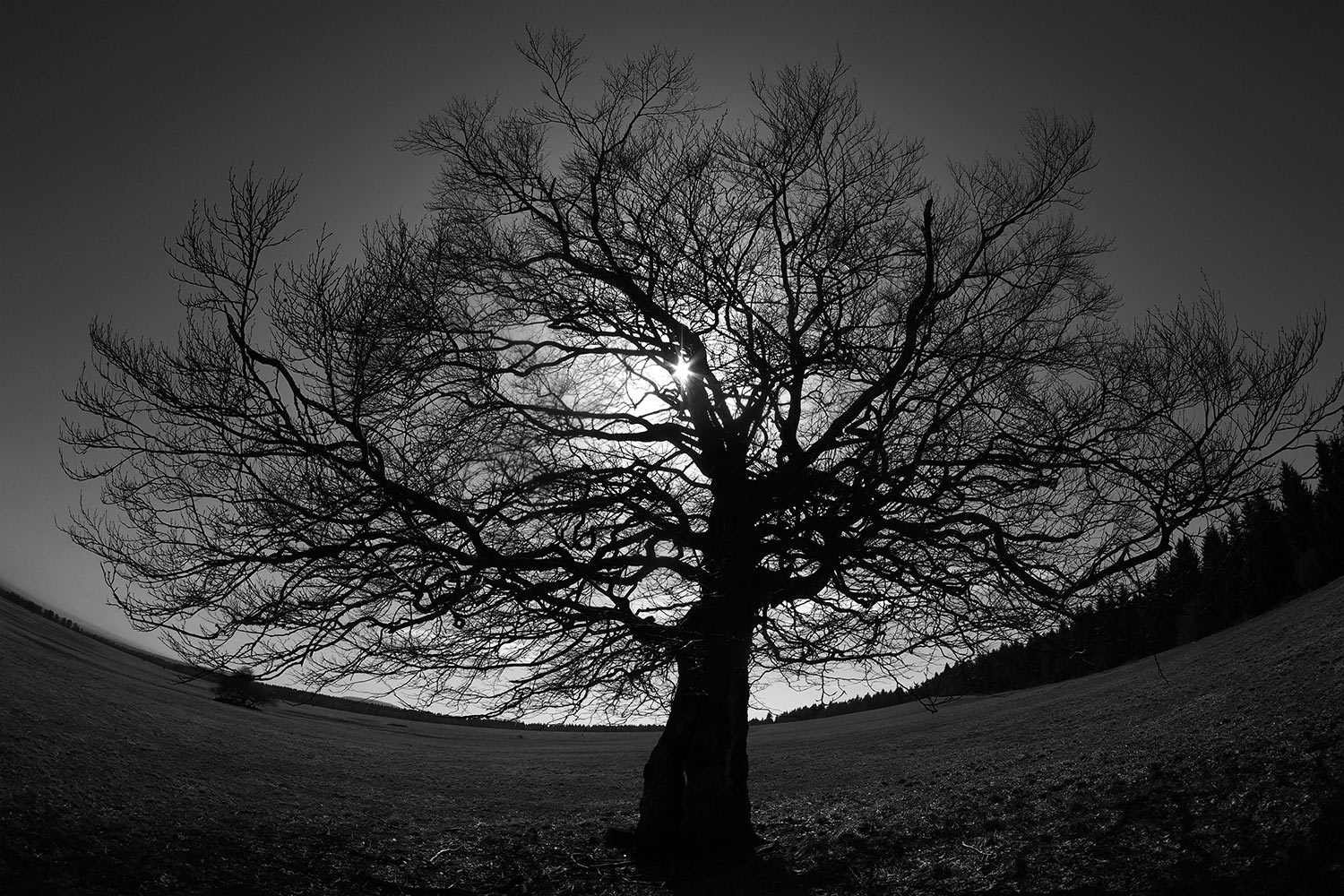 Fotoclub online