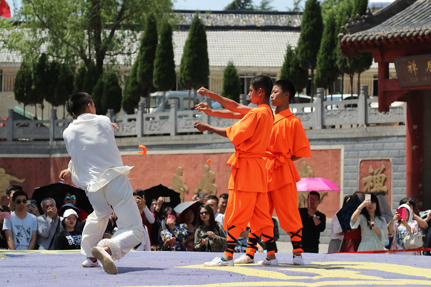 2018-06-zz06-Shaolin-3-pms-4 Serie: Shaolin 3 (Foto: Peter Maximilian Schmidt)