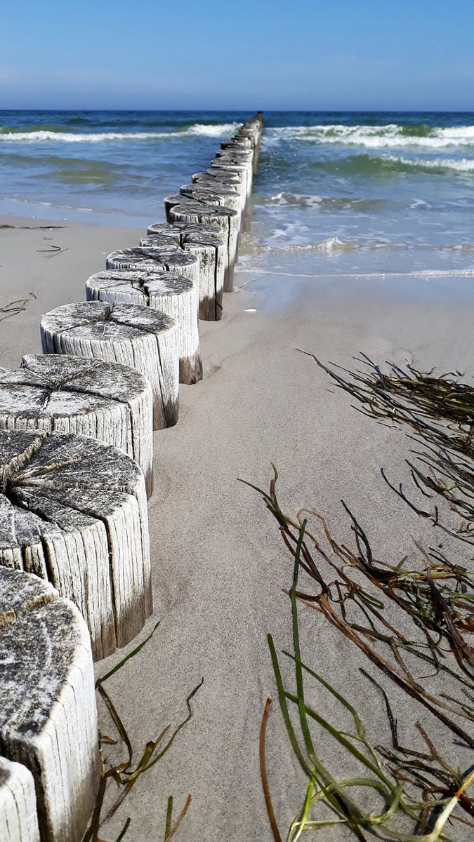 Buhne (Foto: Dietmar Schmidt)