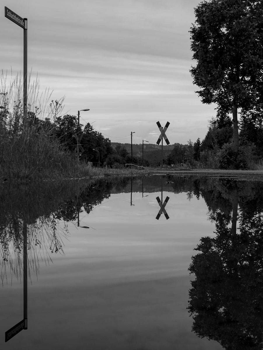 Fotoclub: Bild des Monats 2.2023