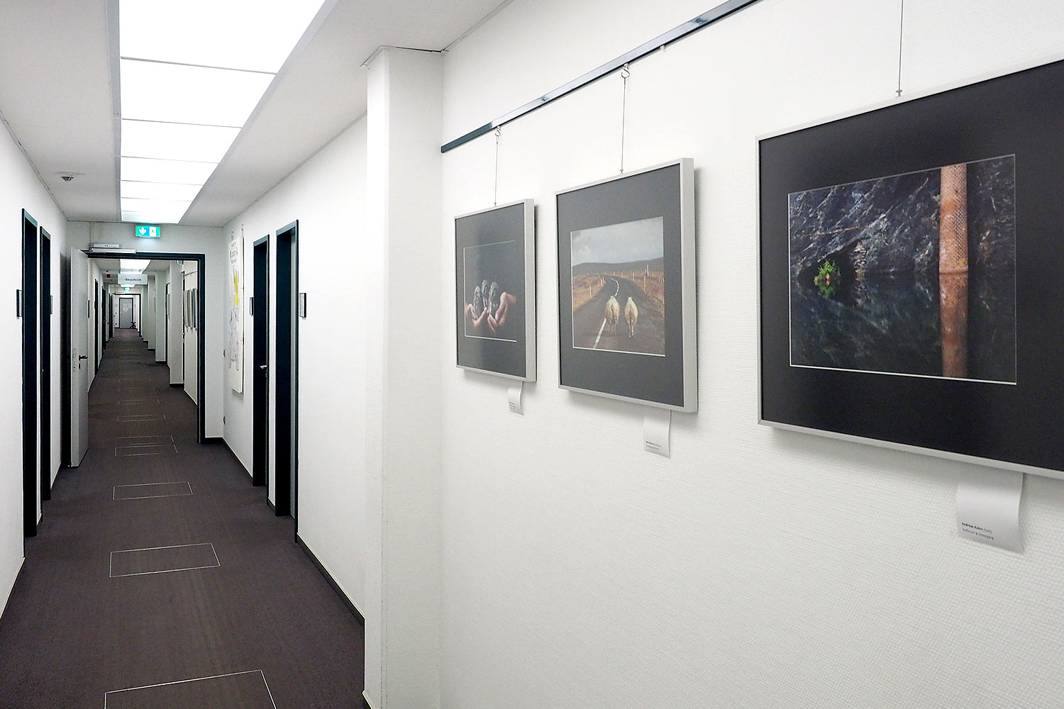 Thüringer Landesfotoschau 2018 . Landratsamt Hildburghausen (Foto: Andreas Kuhrt)