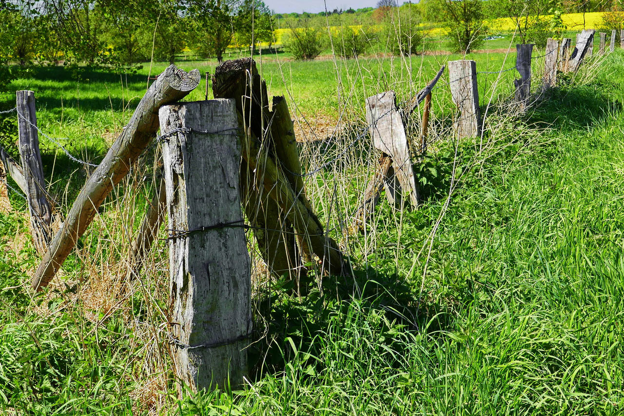 Fotoclub: Bild des Quartals 3.2025