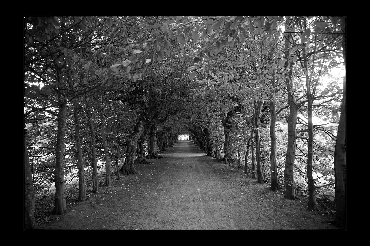 Überdacht (Foto: Günter Giese)