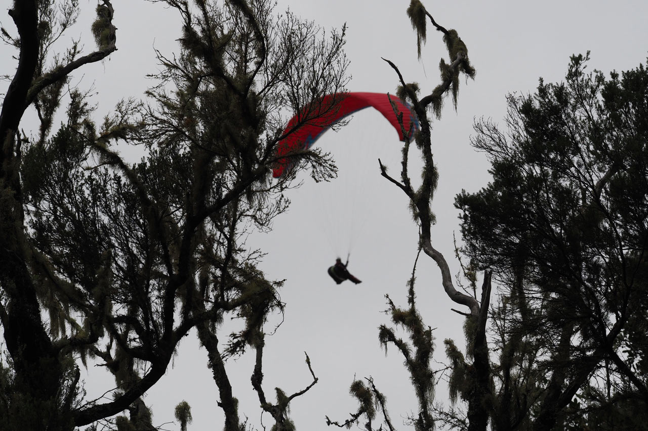 Verfangen (Foto: Manuela Hahnebach)