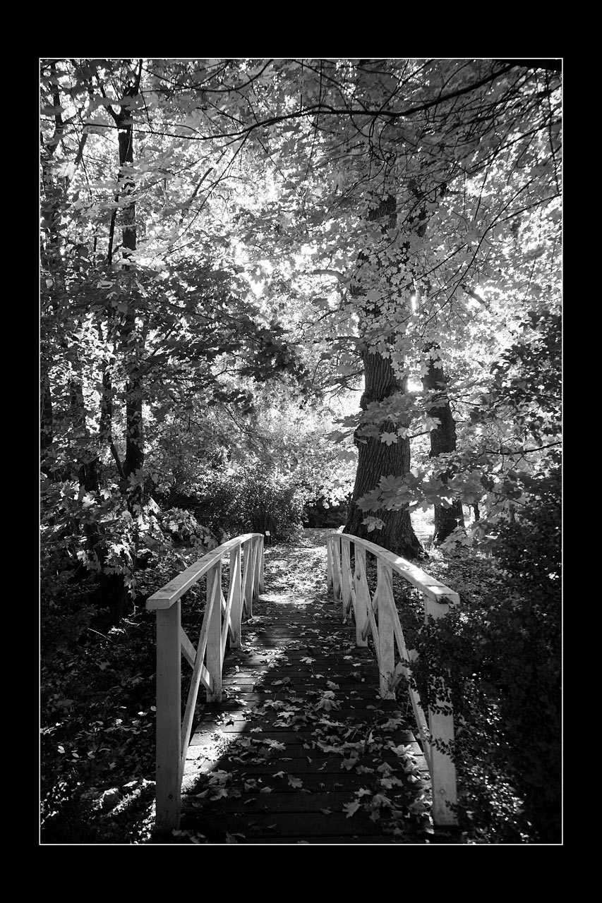 Serie: Im Schlosspark 2 (Foto: Günter Giese)