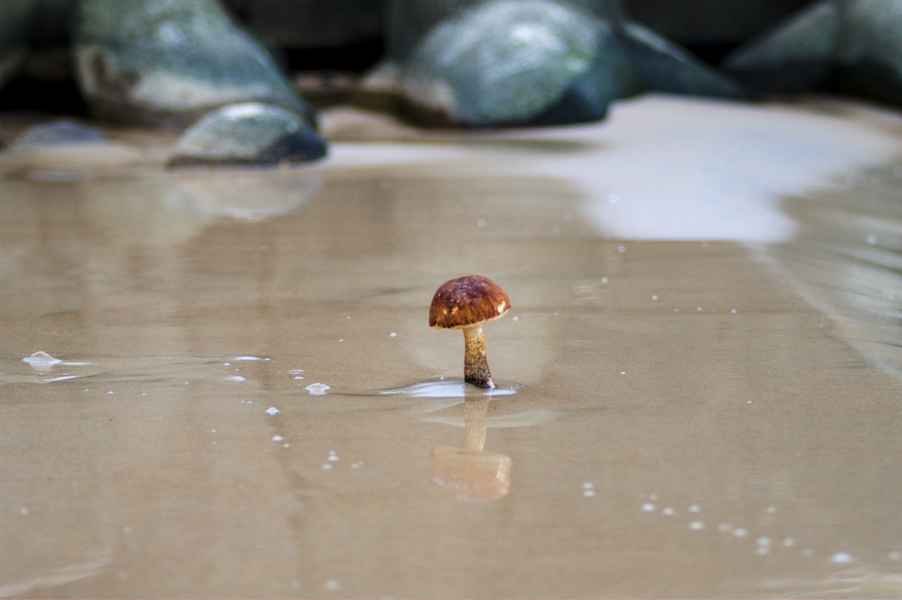 Fotoclub: Bild des Monats 12.2021