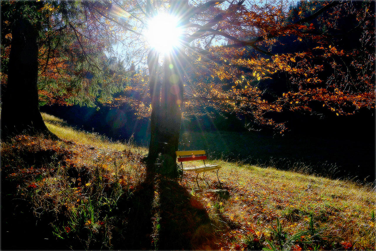 2018-12-20-Herbst-im-Lubenbachtal-w2-36-KHR-6 Herbst im Lubenbachtal (Foto: Karl-Heinz Richter)