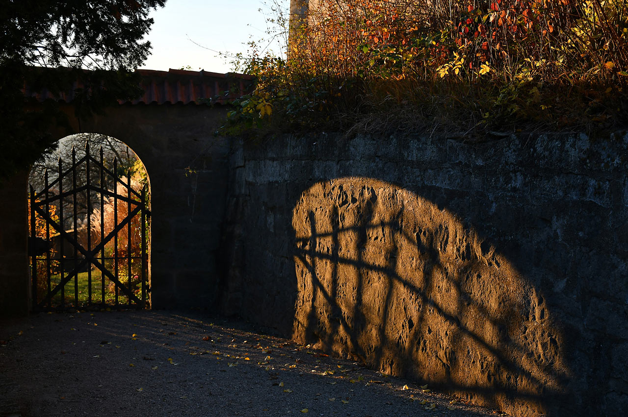 Fotoclub: Bild des Monats 12.2021