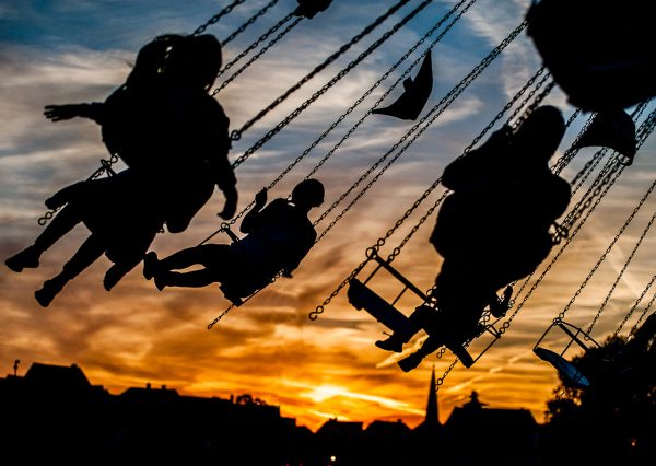 Abendflug (Foto: Uli Pfeufer)