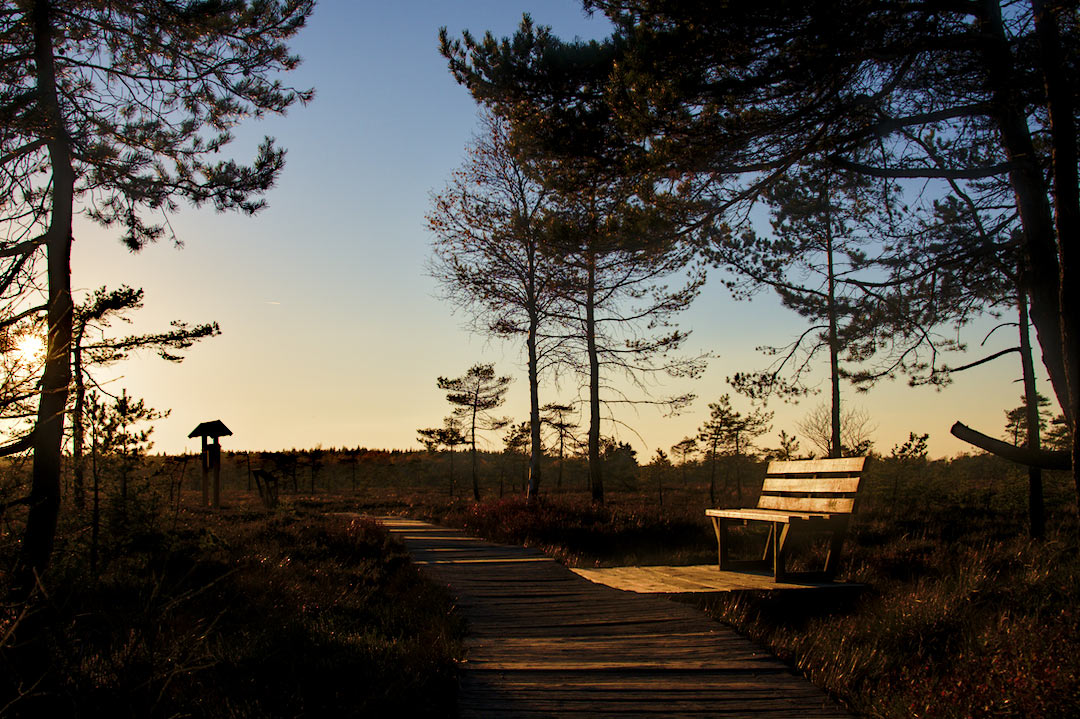 Auszeit (Foto: Lucas Hotop)