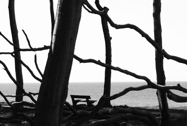 Die Bank (Foto: Günter Giese)