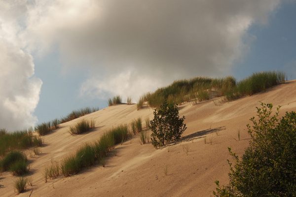 Düne (Foto: Ines Koch)
