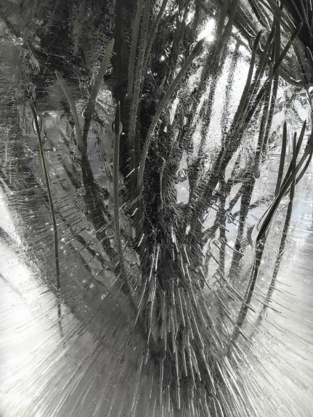 Eiszeit (Foto: Roland Kastner)