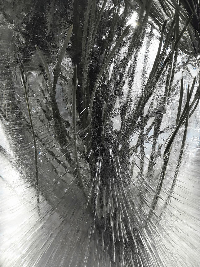 Eiszeit (Foto: Roland Kastner)