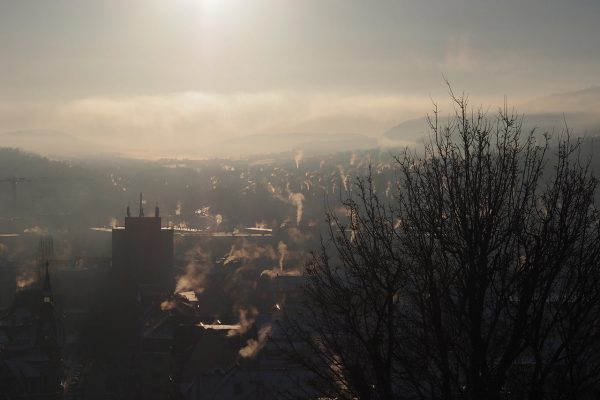 Fahnenmeer (Foto: Ines Koch)