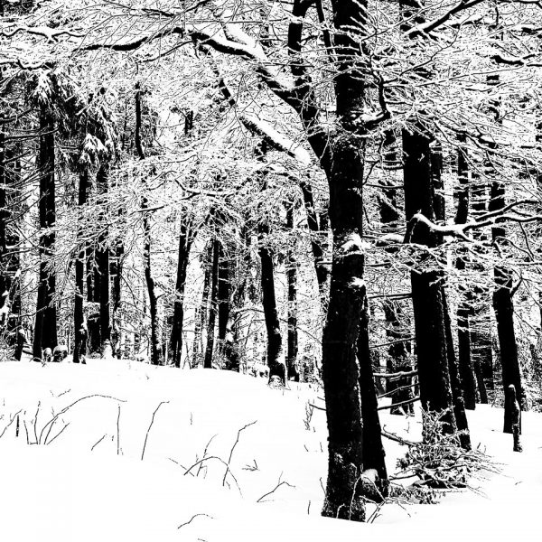 Feinfrost (Foto: Uli Pfeufer)