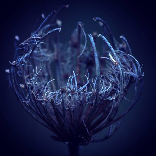 50 shades of blue (Foto: Michael Oehlsen)