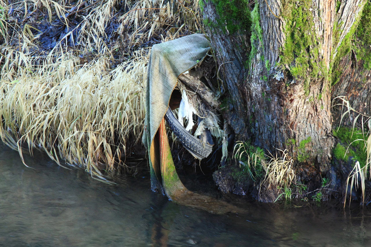 Frühling am Fluss (Foto: Peter Maximilian Schmidt)