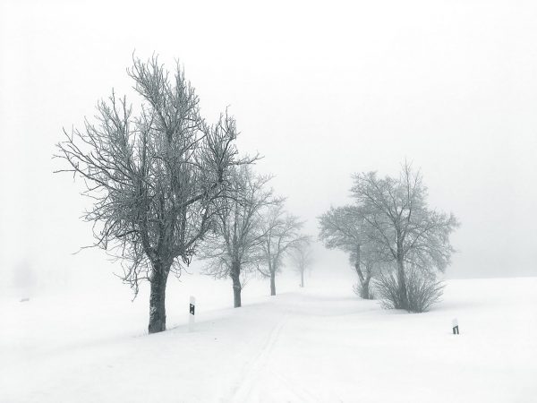 Ganz in Weiß (Foto: Manuela Hahnebach)