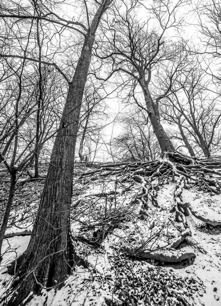 Konvergent (Foto: Uli Pfeufer)