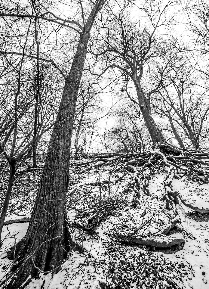 Konvergent (Foto: Uli Pfeufer)