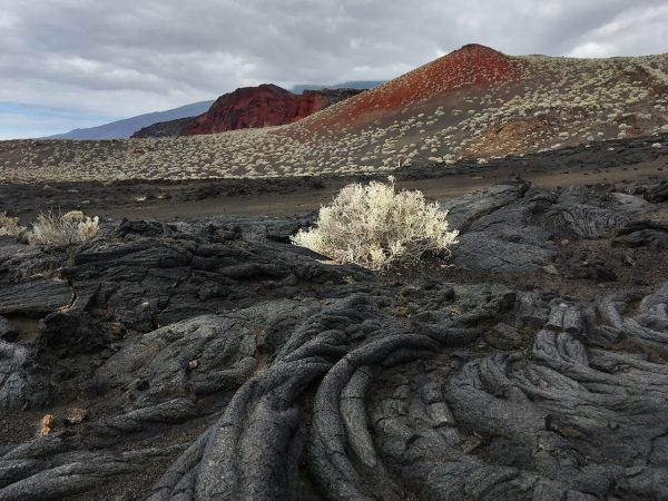 Lavaland (Foto: Manuela Hahnebach)
