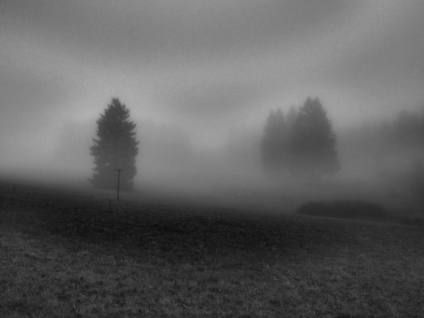 Neblig (Foto: Dietmar Schmidt)