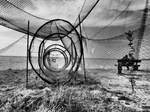 Reuse (Foto: Dietmar Schmidt)