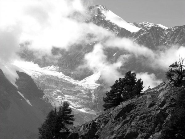 Sommer im Hochgebirge (Foto: Karl-Heinz Richter)