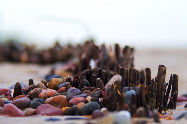 Steine (Foto: Lucas Hotop)