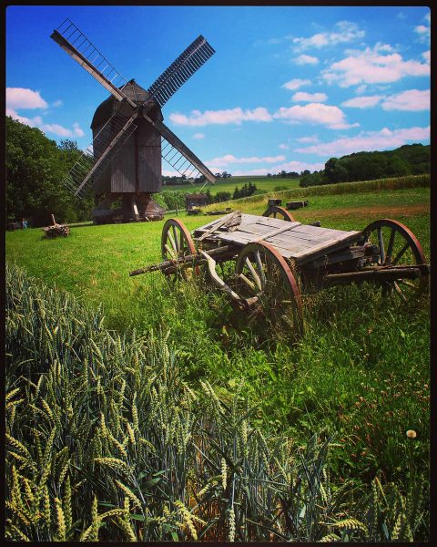 Thüringer Windmühle (Foto: Michael Oehlsen)
