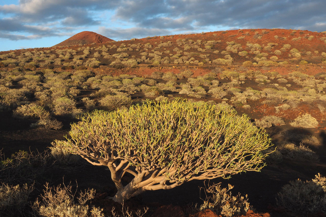 Vulcania (Foto: Andreas Kuhrt)
