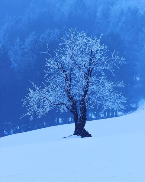 Winter im Vessertal (Foto: Michael Oehlsen)