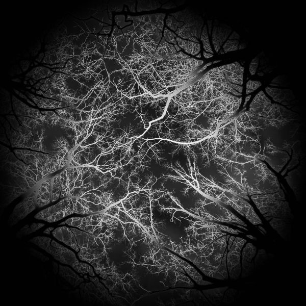 X + 0,0001 (Foto: Uli Pfeufer)