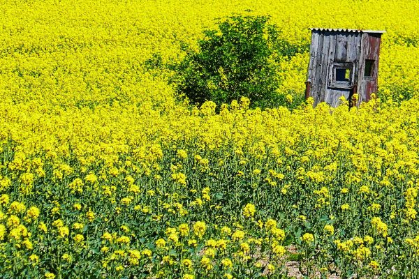 Zimmer frei (Foto: Roland Kastner)