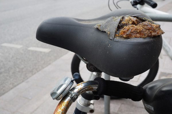 Serie: Typen 6 (Foto: Manuela Hahnebach)