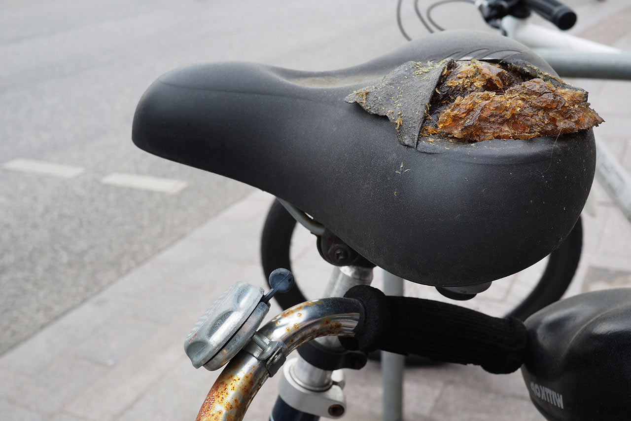 Serie: Typen 6 (Foto: Manuela Hahnebach)