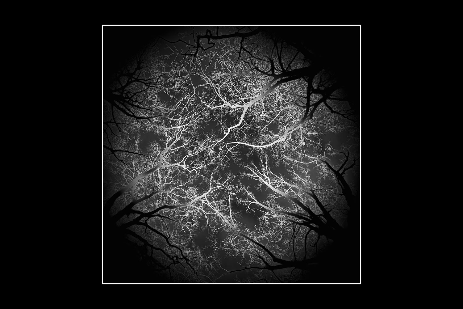 Fotoclub