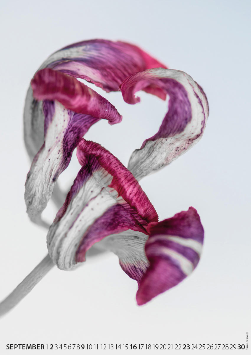 Fotoclub: Bild des Monats 3.2018