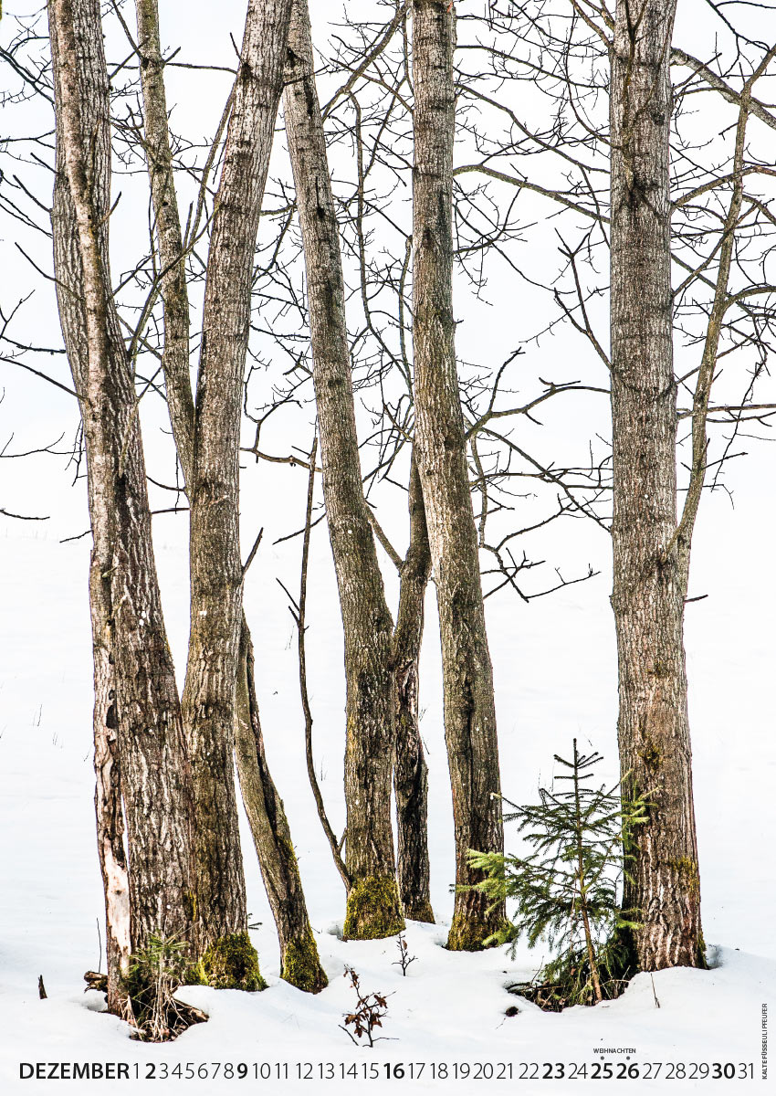 Fotoclub: Bild des Monats 10.2023